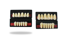 Load image into Gallery viewer, Artificial Teeth Sets - Primehavenstore