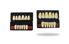 Load image into Gallery viewer, Artificial Teeth Sets - Primehavenstore