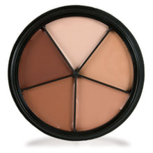 Load image into Gallery viewer, ProColoRing - Tattoo Cover - 5 Color Wheel - Primehavenstore