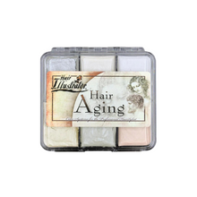 Load image into Gallery viewer, HAIR ILLUSTRATOR ON SET AGING PALETTE - Primehavenstore