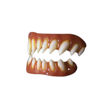 Load image into Gallery viewer, Dental Distortions - Primehavenstore