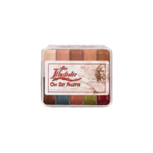 Load image into Gallery viewer, Skin Illustrator Fleshtone On Set Palette - Primehavenstore
